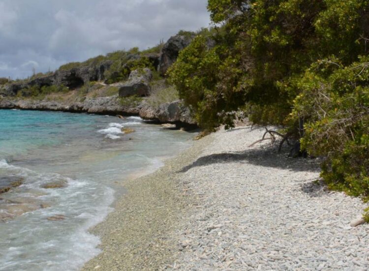 Waves crashing on the shore