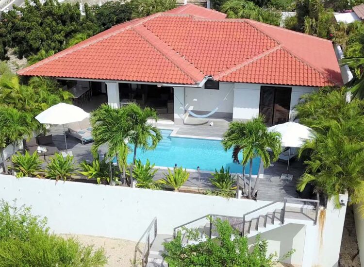 Aerial shot of backyard pool area surrounded by palm trees