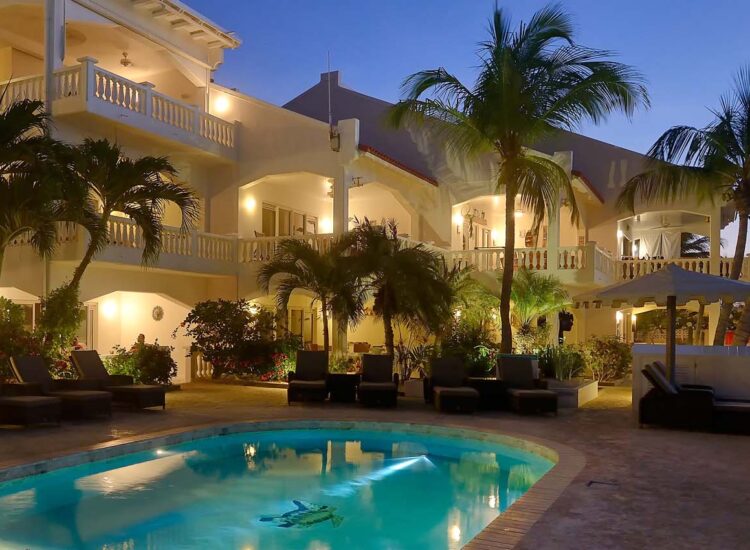 Outdoor pool area with ocean view and palm trees