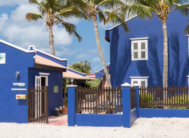 Dark blue hotel exterior with palm tree lined entrance