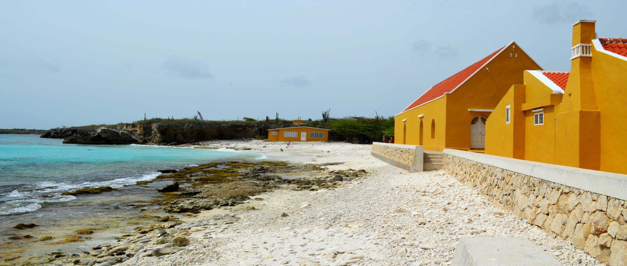Dark yellow buildings on the ocean shore