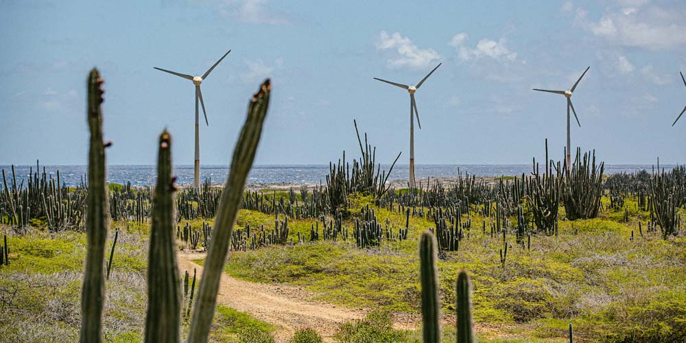 Windmills in desert