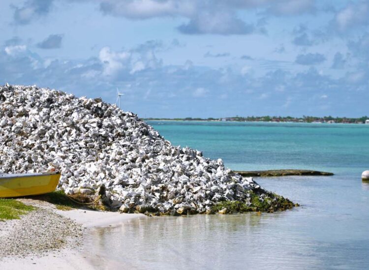 Abandoned boat near a large pile on the shore