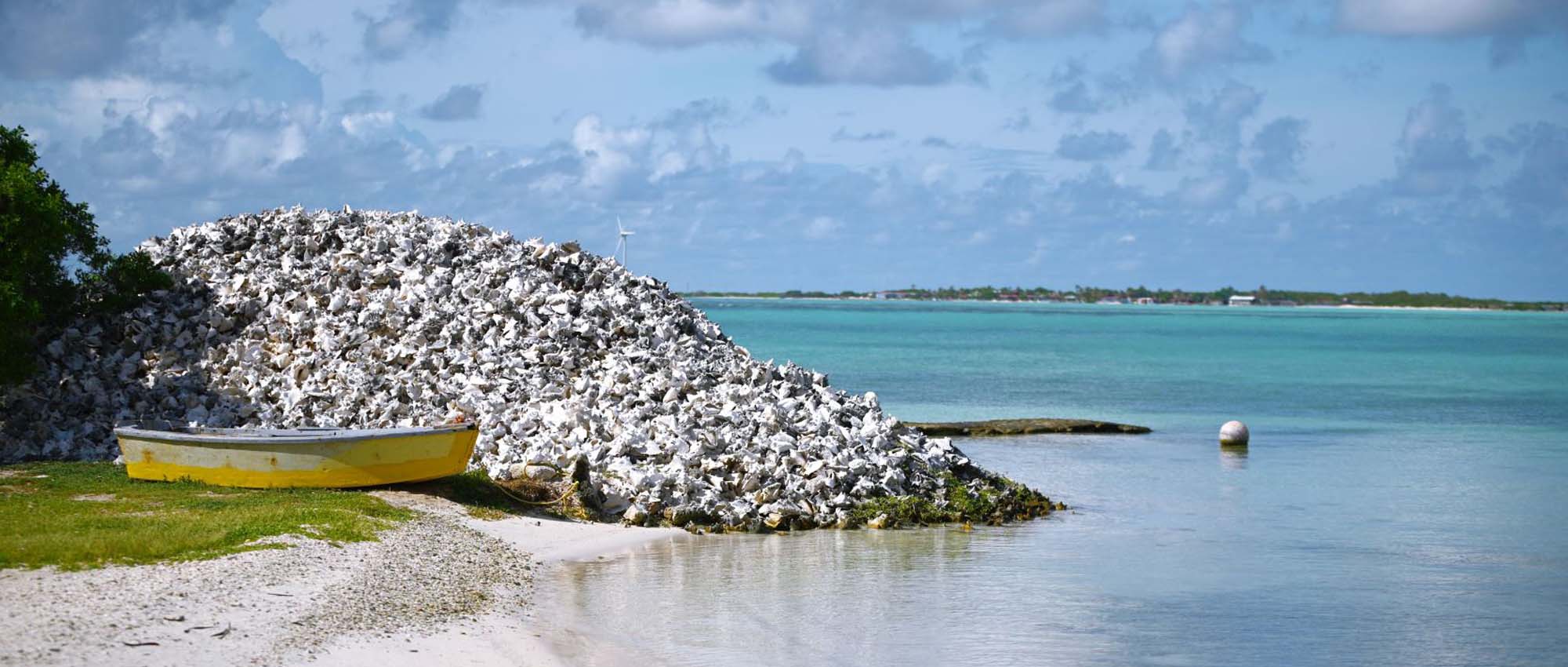 Abandoned boat near a large pile on the shore