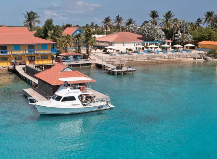 Aerial view of the beach area with sunbeds by the ocean