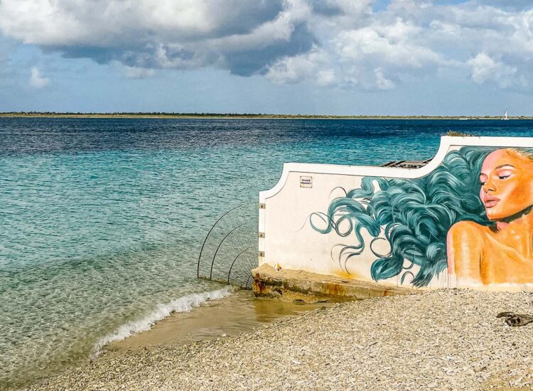 Mural of a woman with blue hair next to the shore