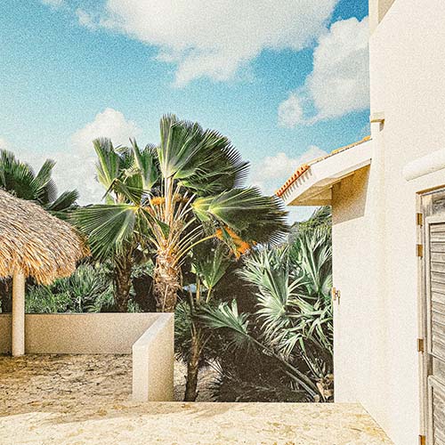 Patio with staircase leading down to palm trees