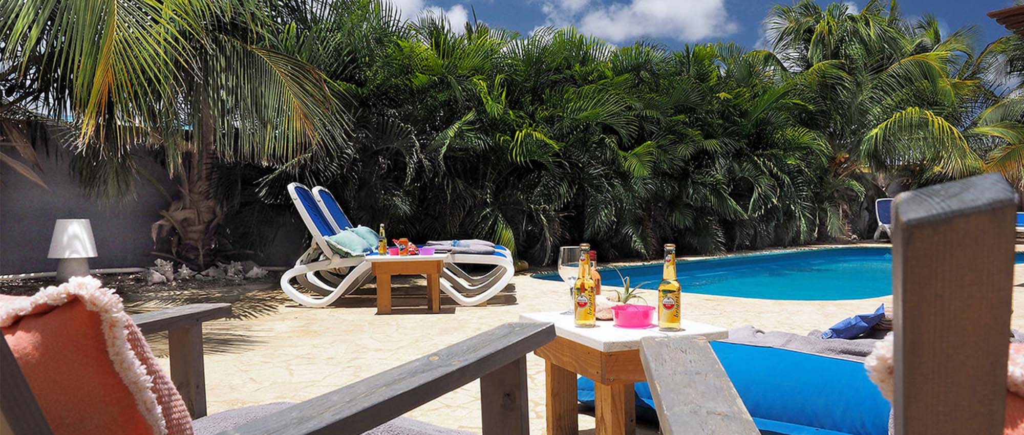 Outdoor pool area surrounded by lounge chairs and palm trees