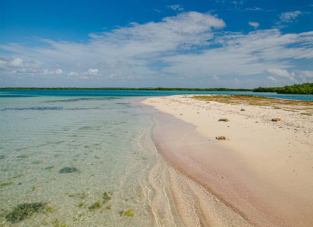 Clear beach water on sunny day