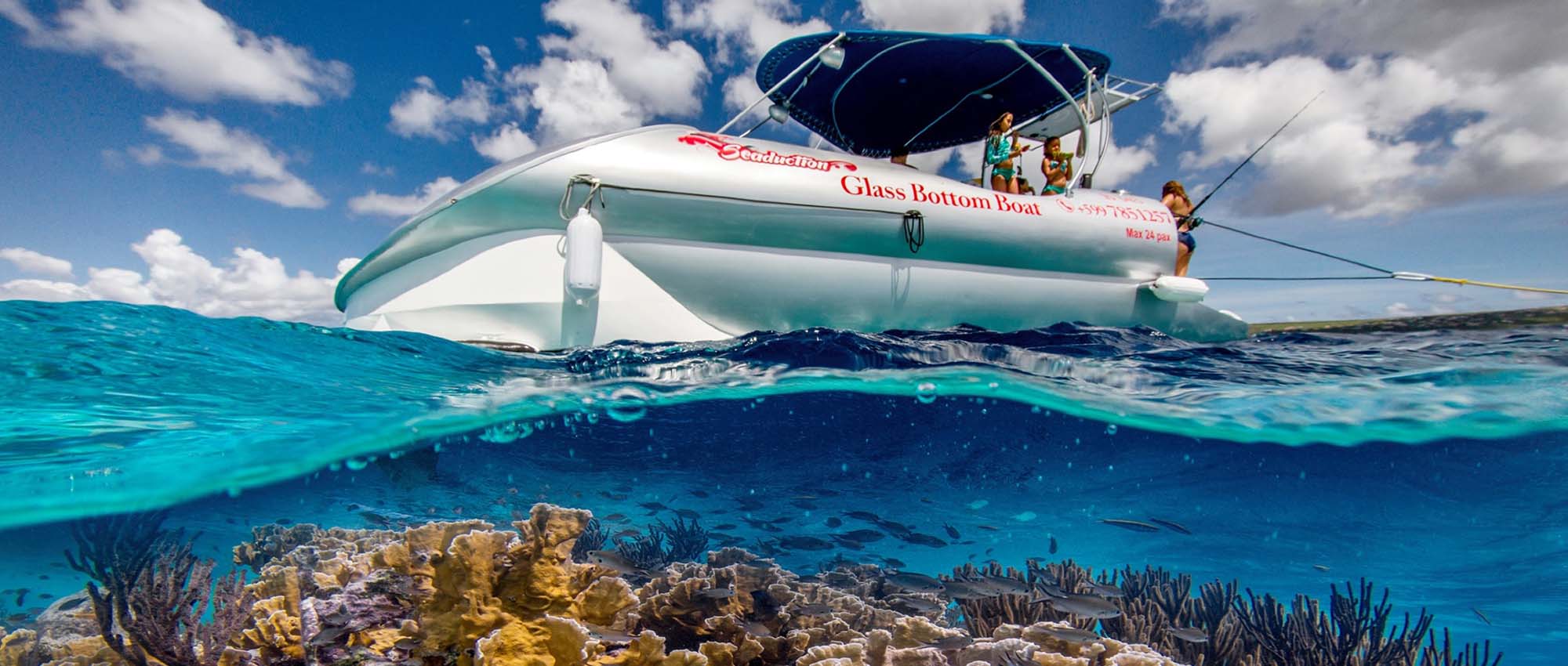 Glassbottom boat with corals
