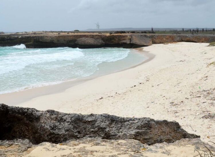 Waves crashing on the shore