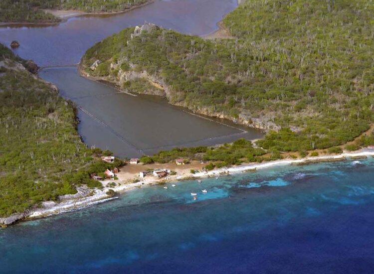 Aerial view of ocean