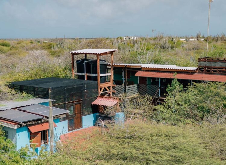 Aerial view of an off-the-grid accomodation
