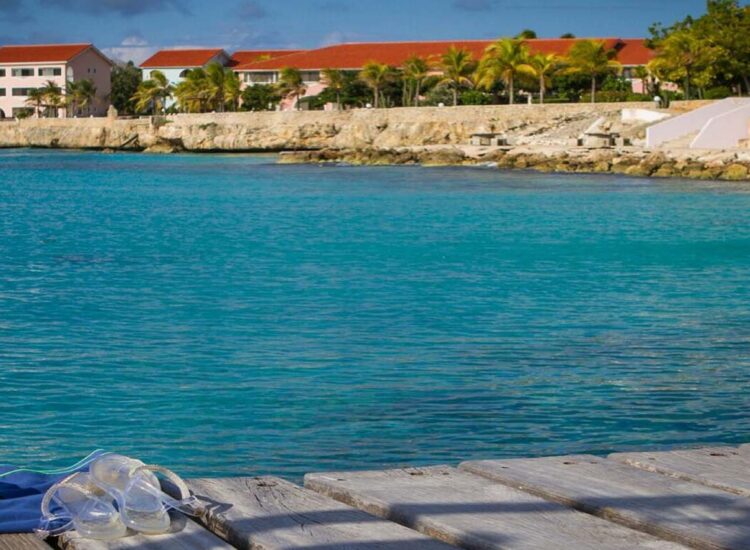 Swimming goggles on a deck above the ocean overlooking a few buildings