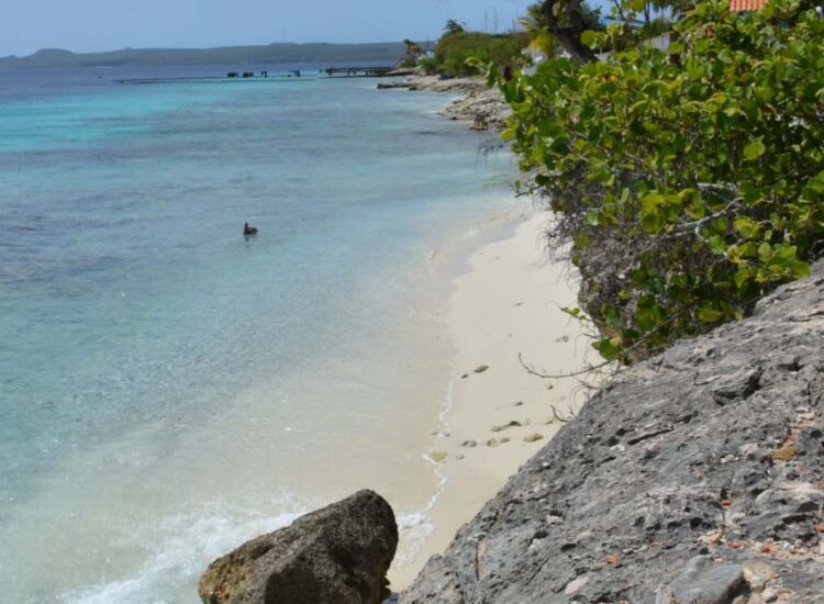 Waves crashing on the shore