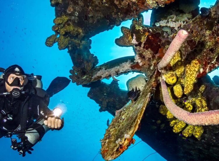 Diver swimming underwater
