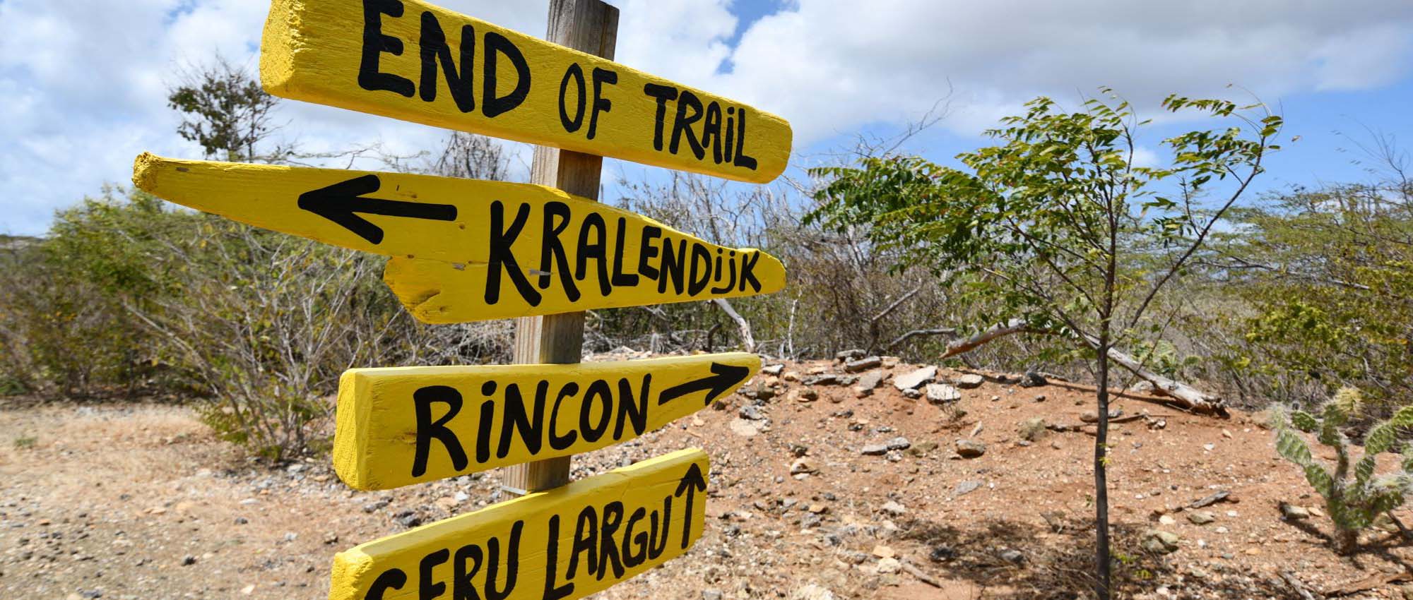 Close up shot of yellow signs